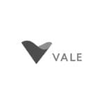 logo vale