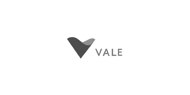 logo vale